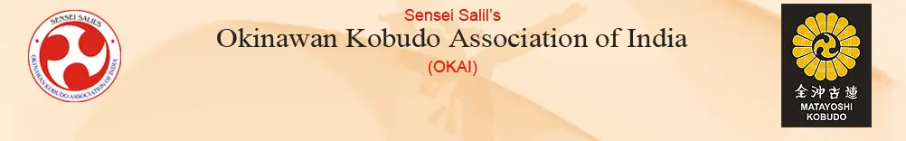 Sensei Salil's Isshinryu Karate Dojo