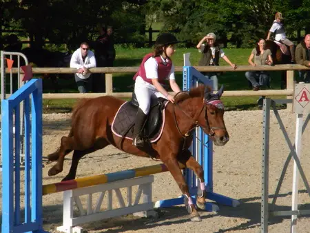 Pony Club And Equestrian Center Des Mesnuls