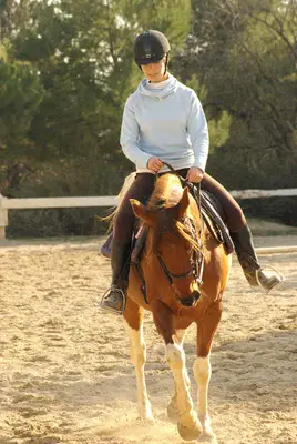Equestrian Center Les Collets