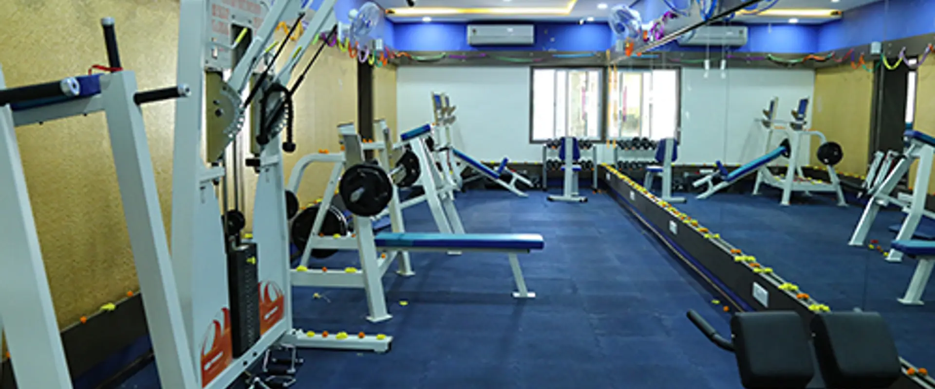 Swas Gym