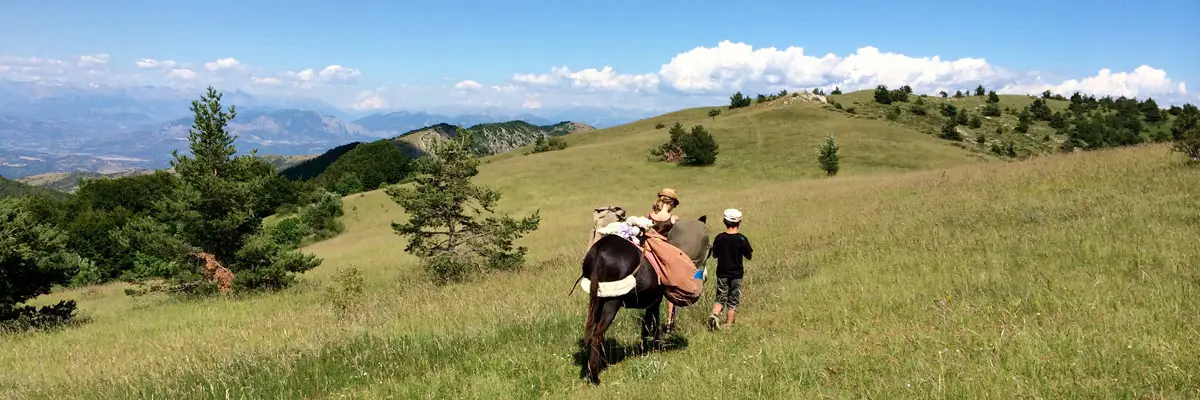 Bamboul'âne Randonnée avec ânes, Camping à la ferme
