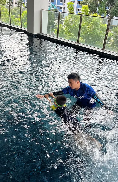 Penguin Swim School
