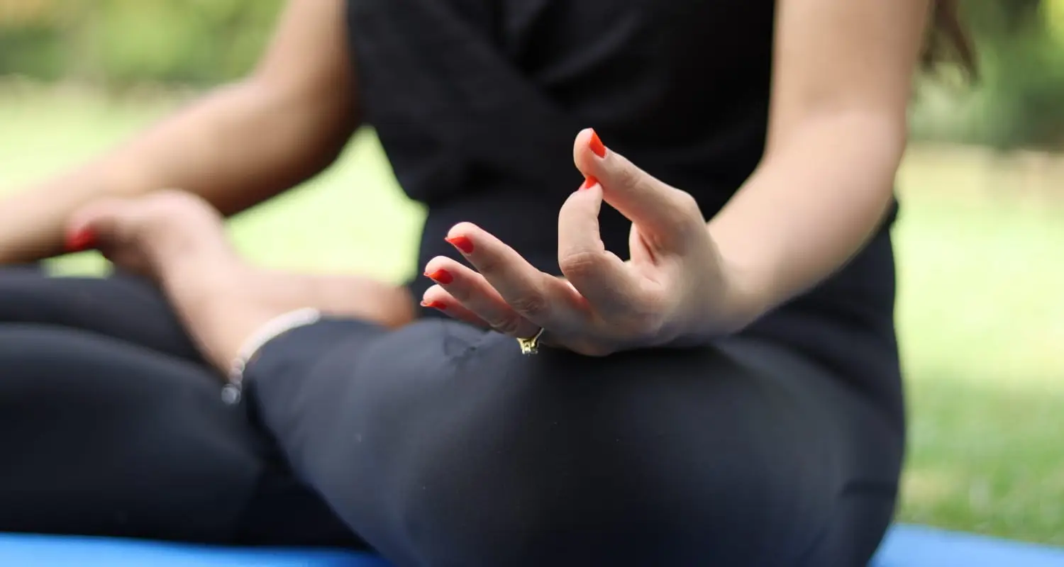 Pranic Wellness