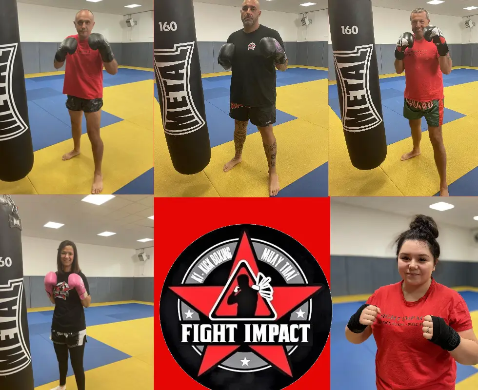 Fight Impact