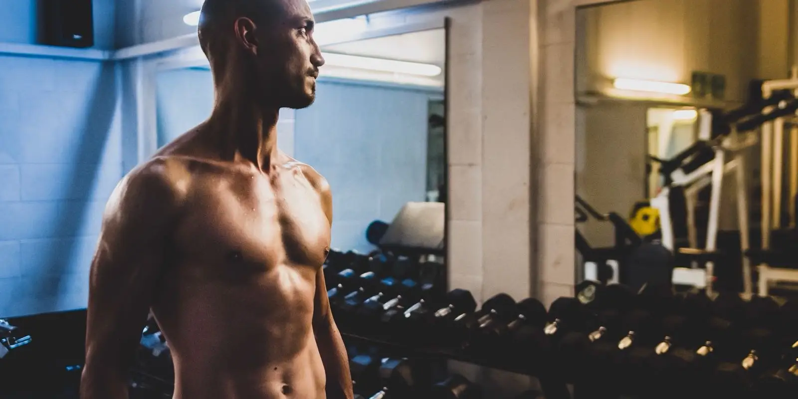 Not Big, Not Clever Fitness
