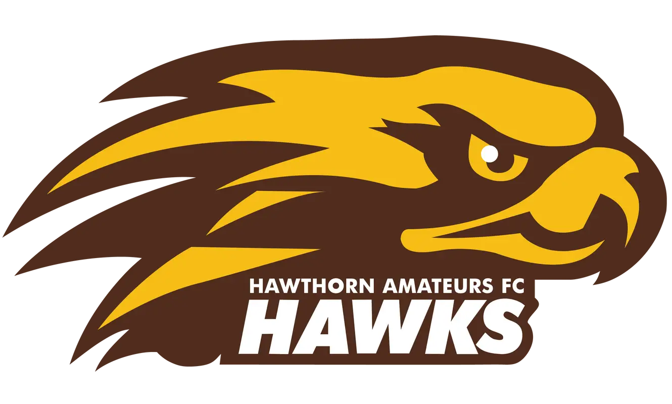 Evado Studios Hawthorn
