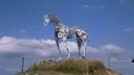 Equestrian Center Des Droops
