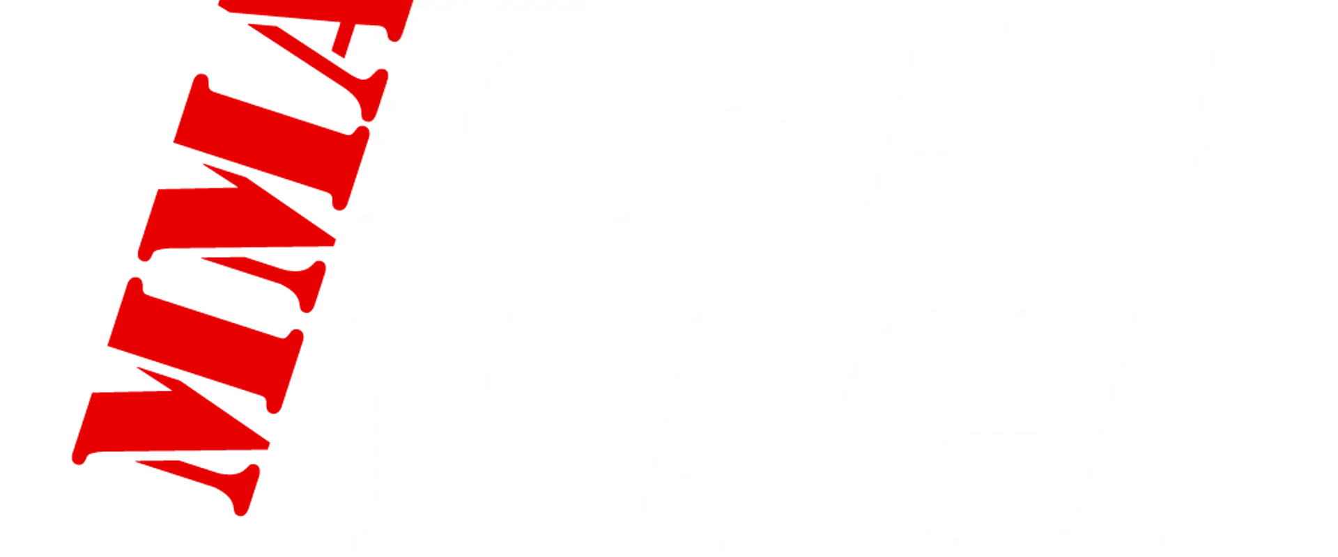 Mma Krav Maga Muswell Hill
