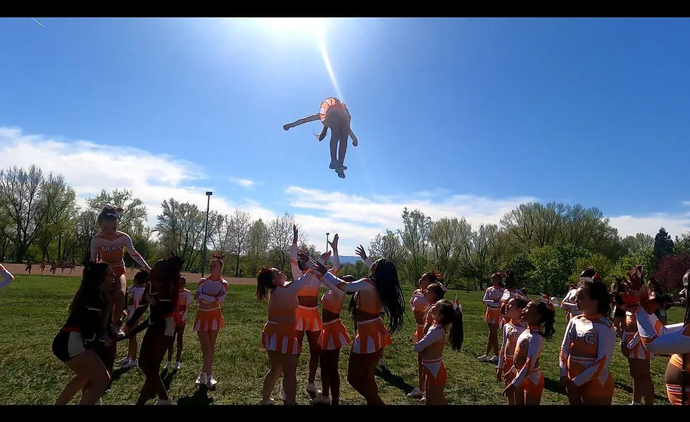 Majestic phoenix cheer