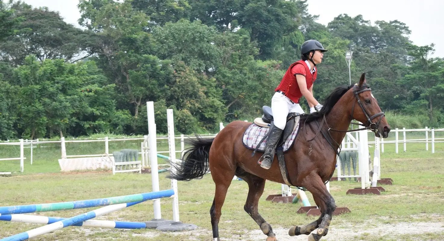 Horse Shop