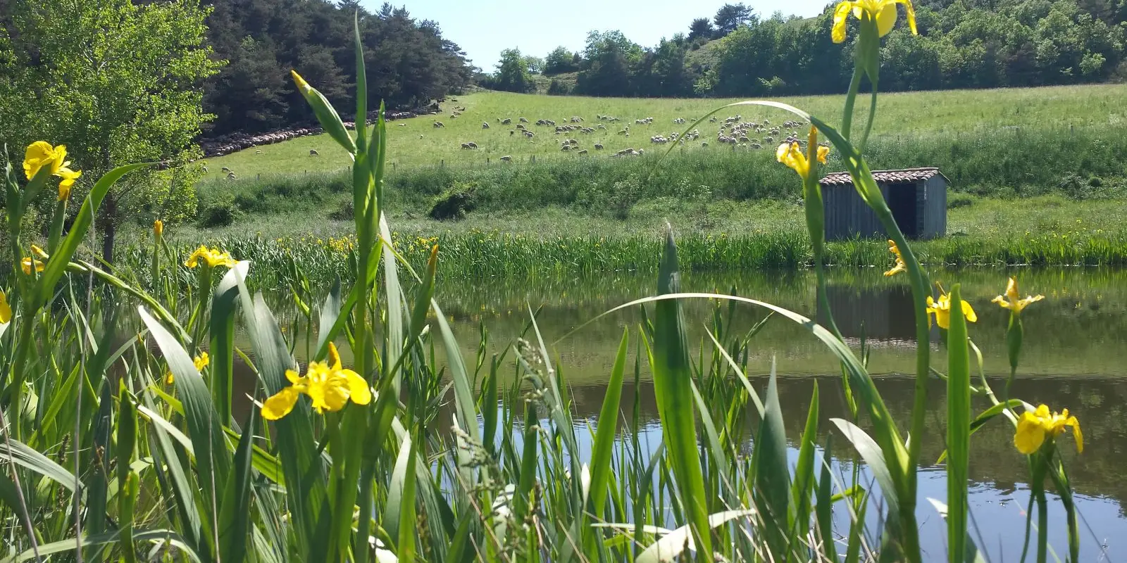 Sarl Golf de Sagnol