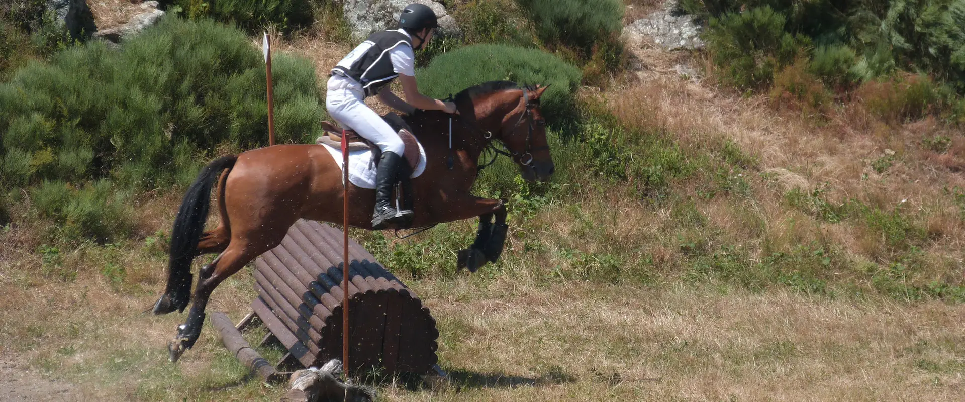 Pony Club Equestrian Center Les Kiwis