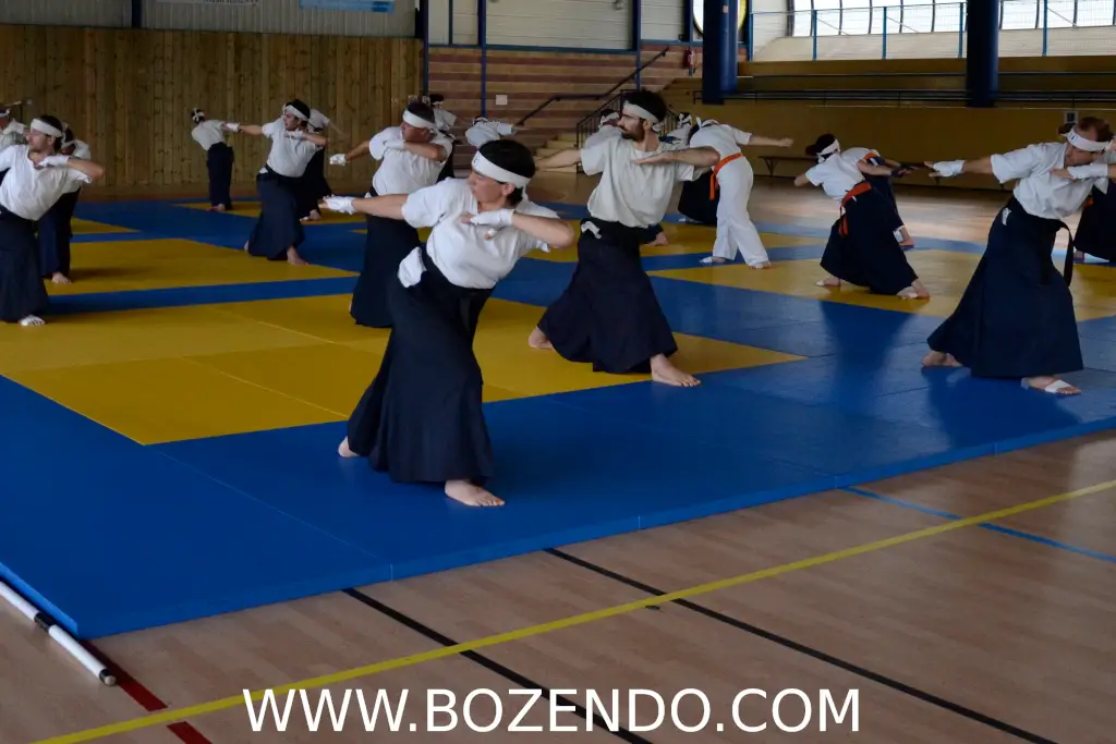 Bozendo St Affrique - Art Martial Baton