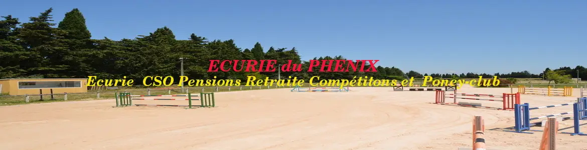 Pony Club Du Phénix