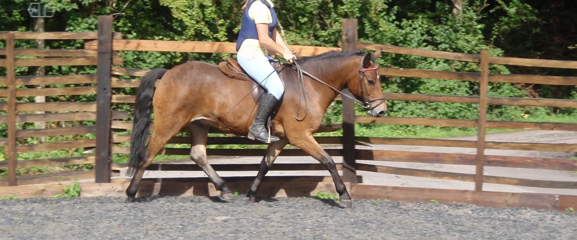 Engine Common Riding School