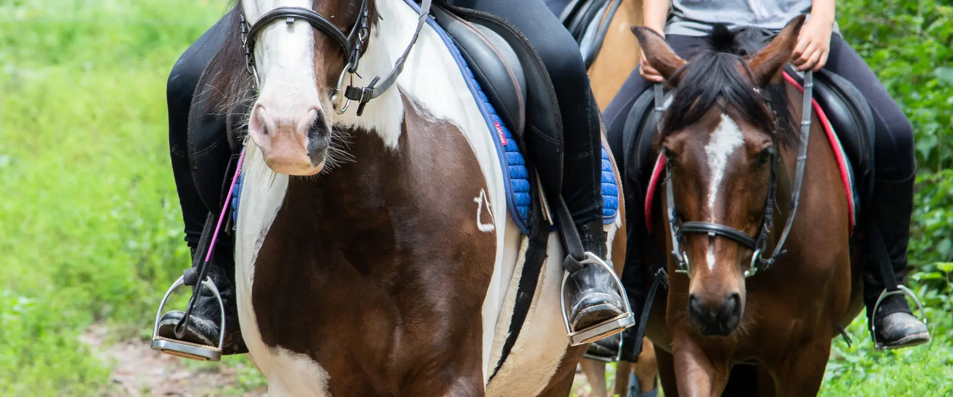 Equestrian Spirit