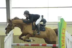 Ecurie D'osseliere