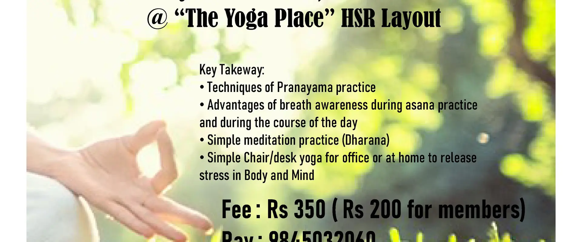 THE YOGA PLACE ( YOGA CLASSES - BEGINNER/INTERMEDIATE LEVEL)