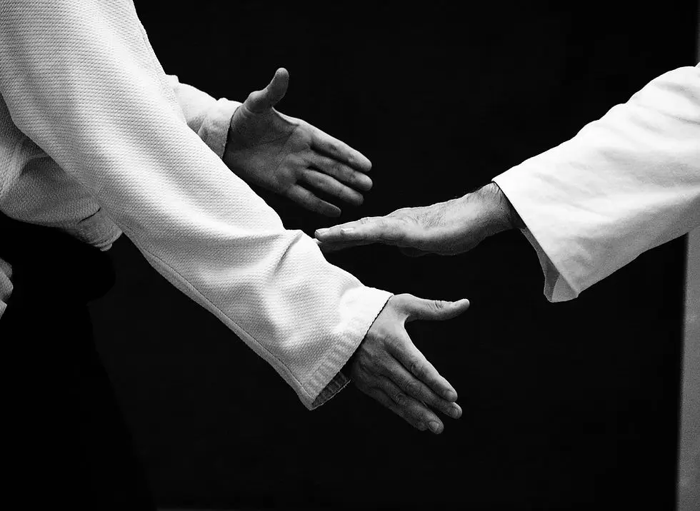 Aikido Du Rhône