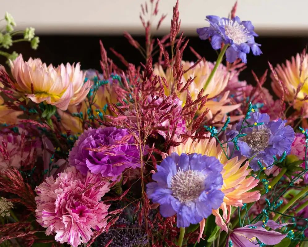 Martin Fleurs