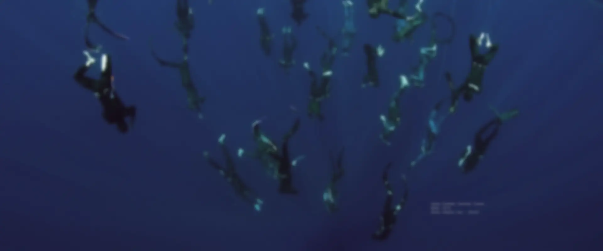 Apnea42 Freediving (Singapore)