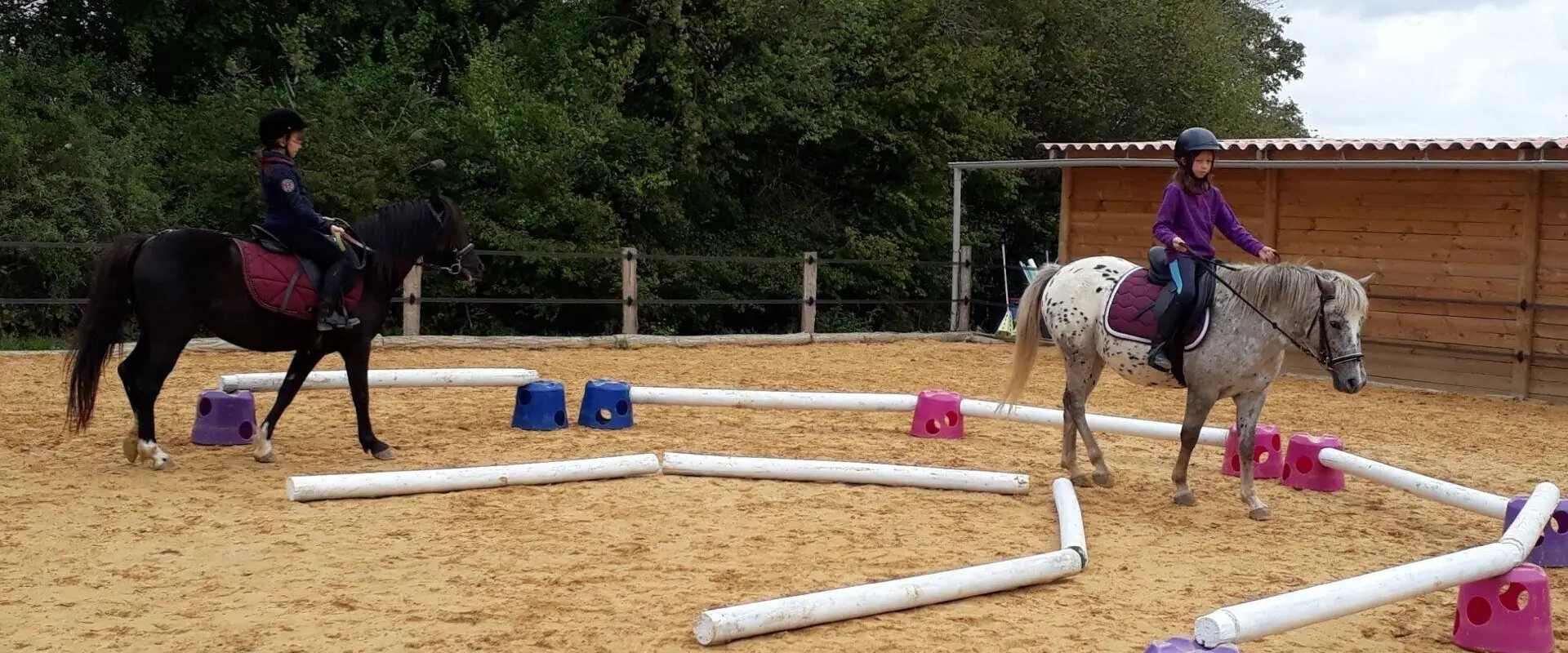 Les Poneys de Monthoiron