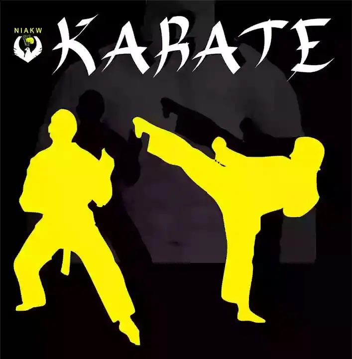 Gortin Karate Class (NIAKW)