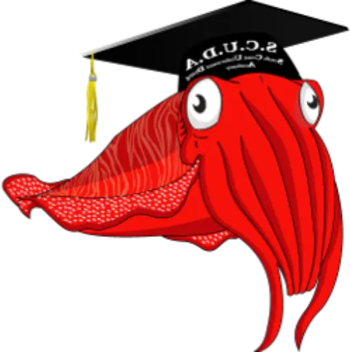 South Coast Underwater Diving Academy SCUDA