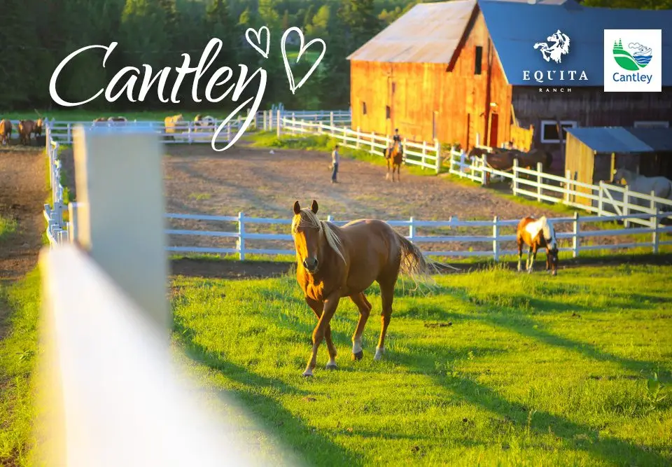 Equita Ranch