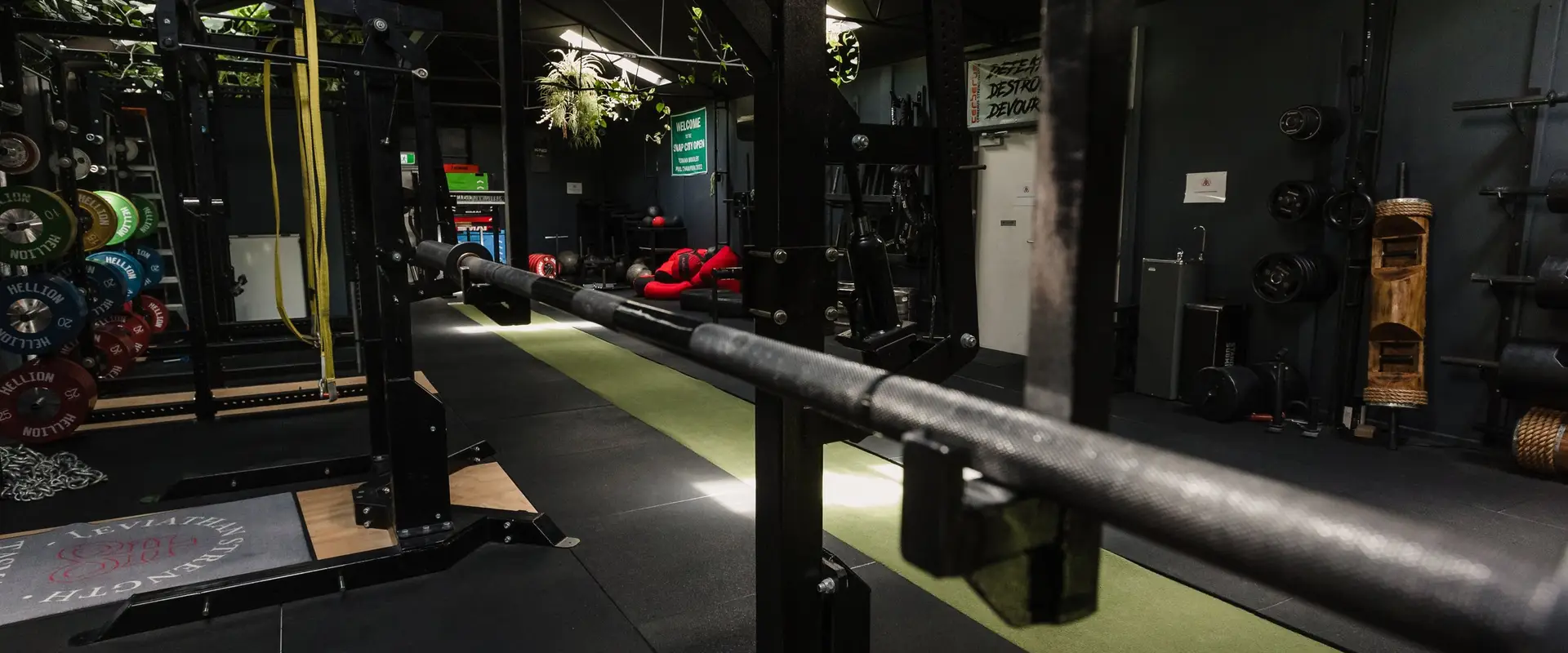 Leviathan Strength Gym