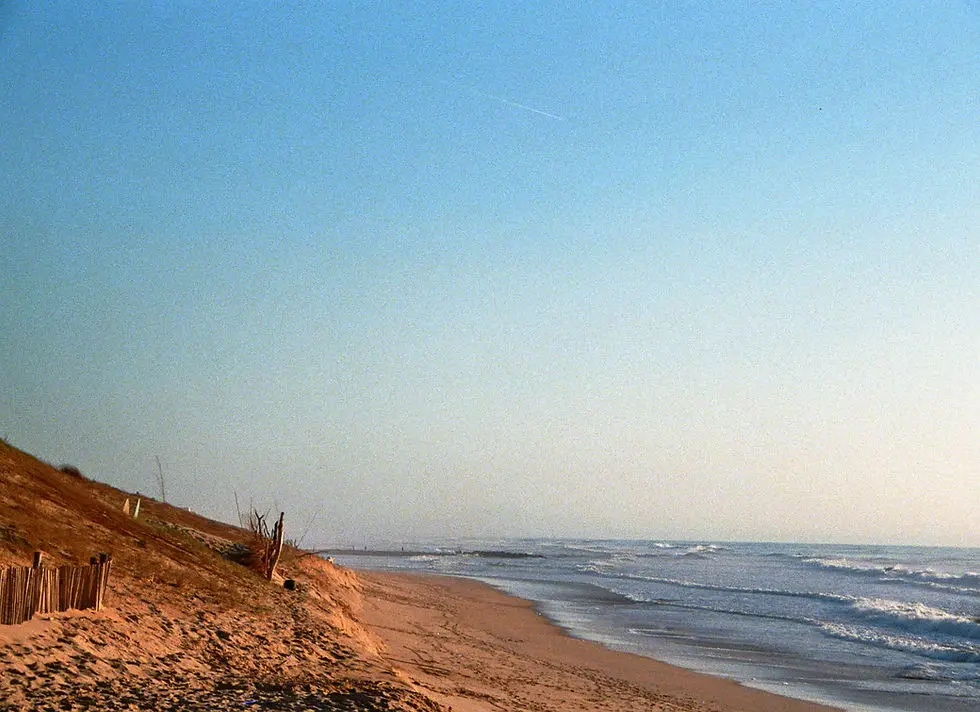 Surf School Océanides
