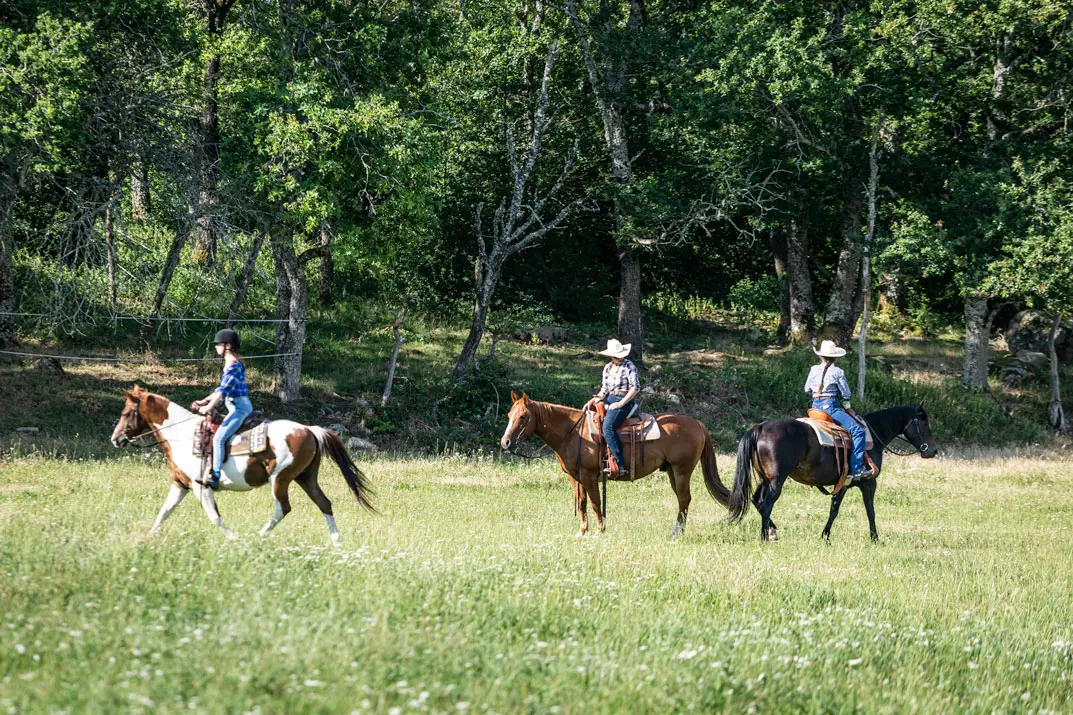 Blue Shade Ranch