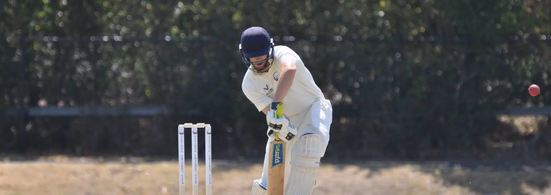 Geelong Cricket Club