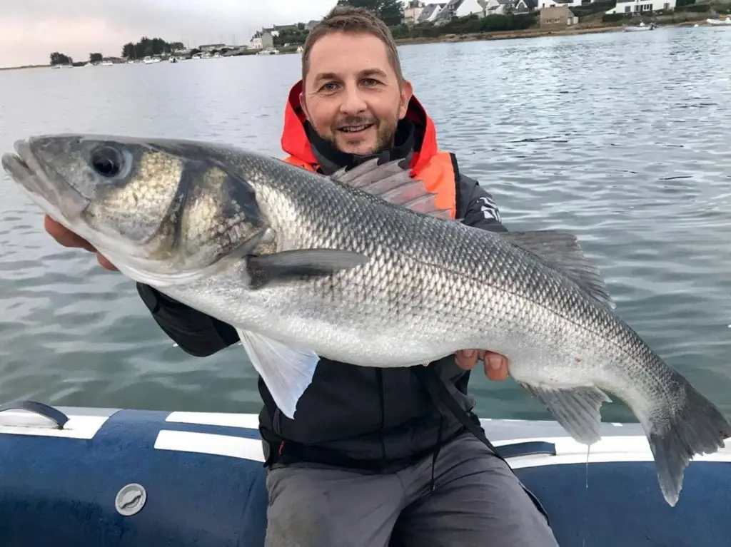 A Fun Fish, moniteur guide de pêche en mer Morbihan