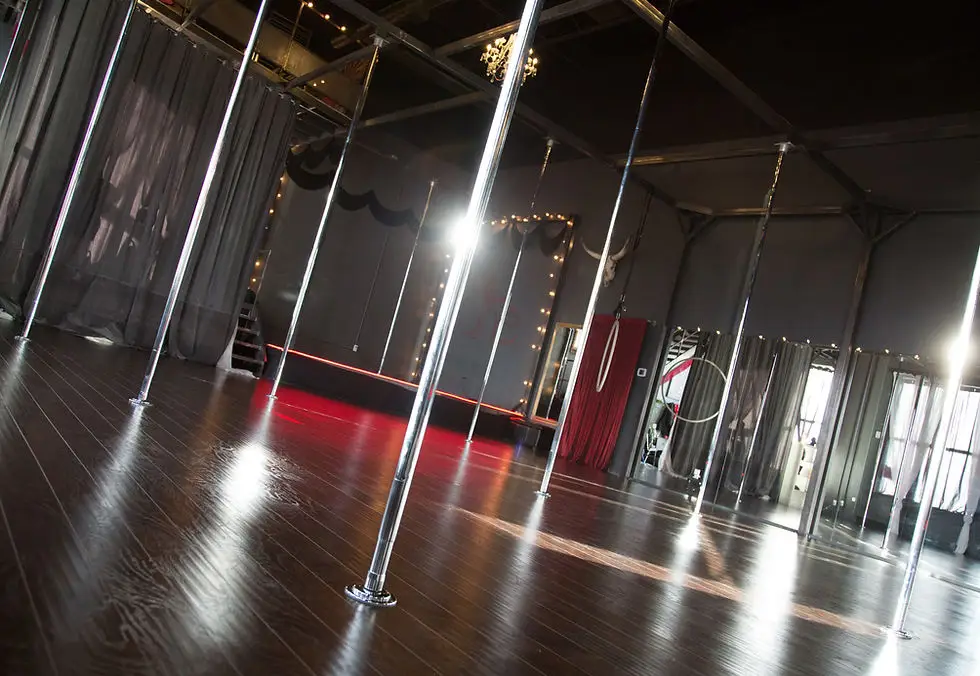 She pole dance studio