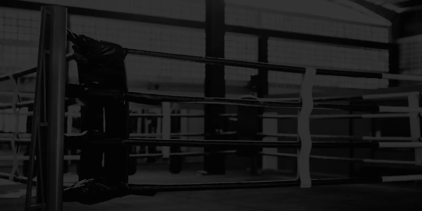 Spartan Boxing Fitness - Spencer Dock