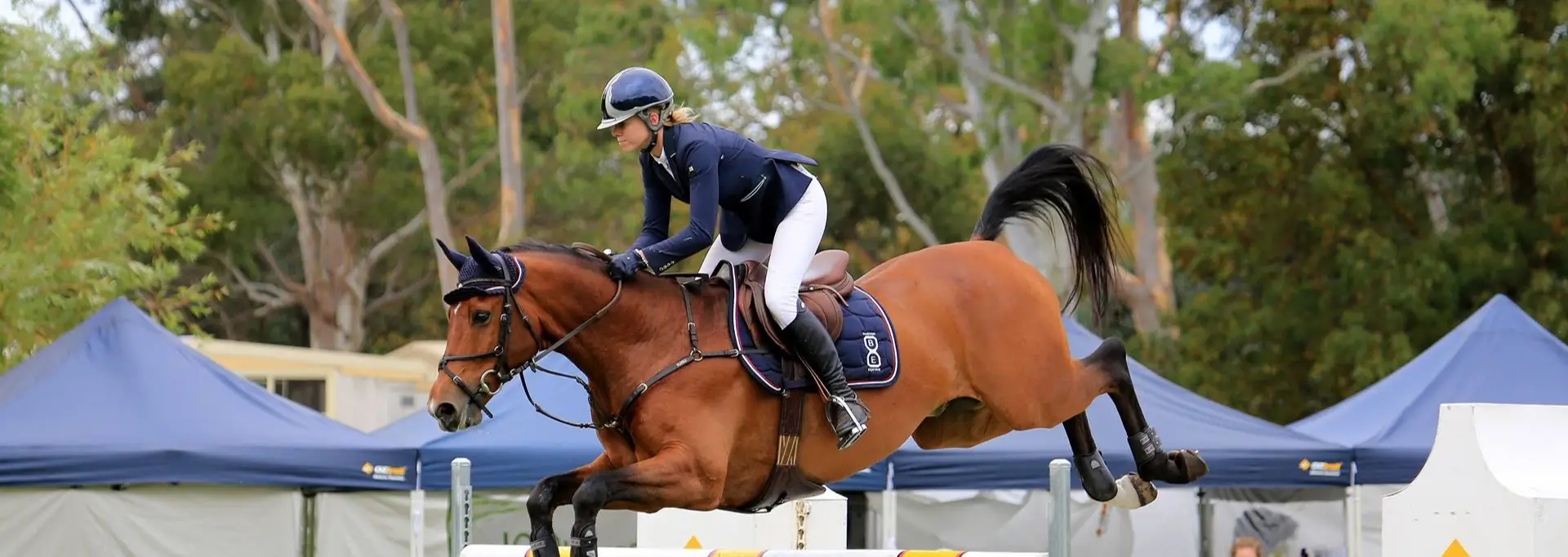 Barton Equine