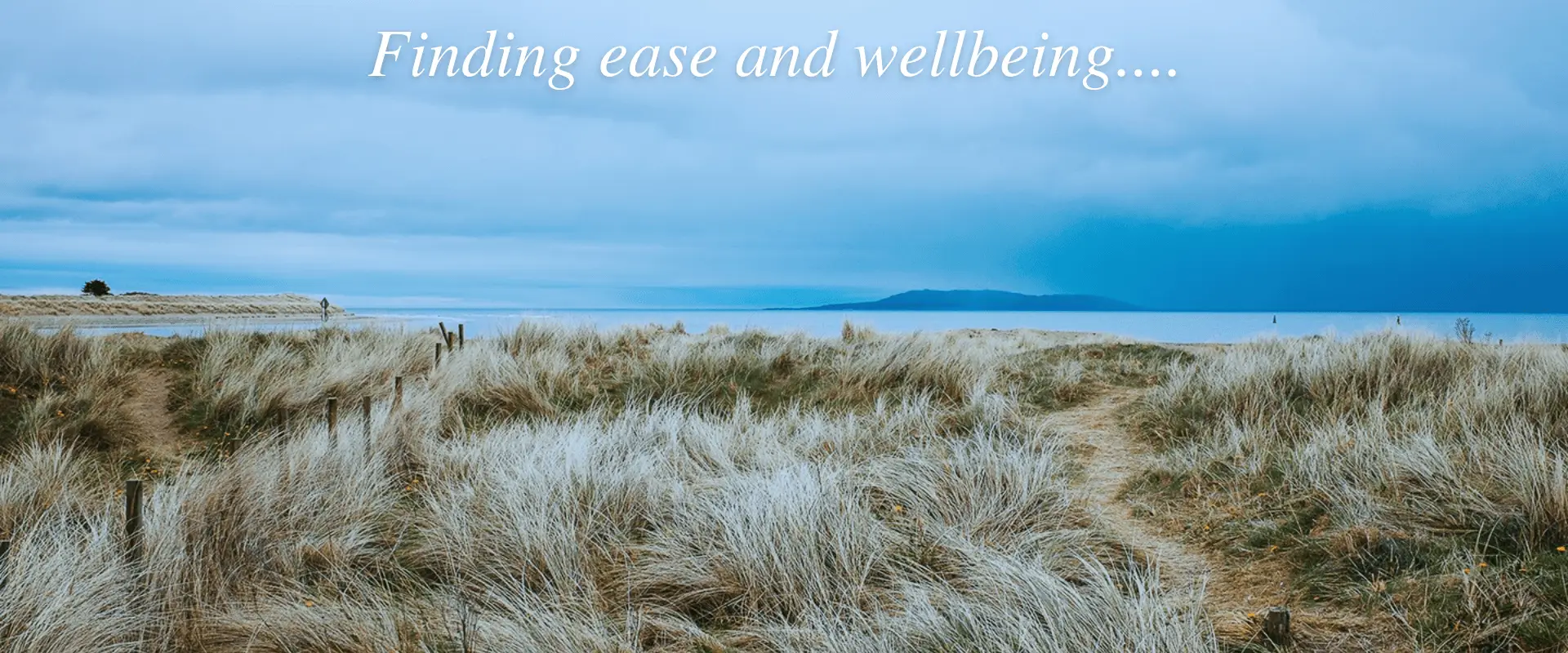 The Mindfulness Centre
