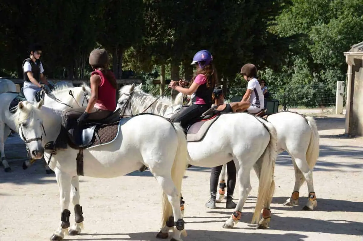 Domaine Equestre de Maruejols
