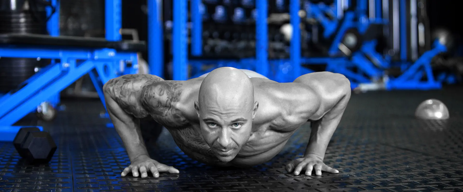 Body Revival Strength & Performance