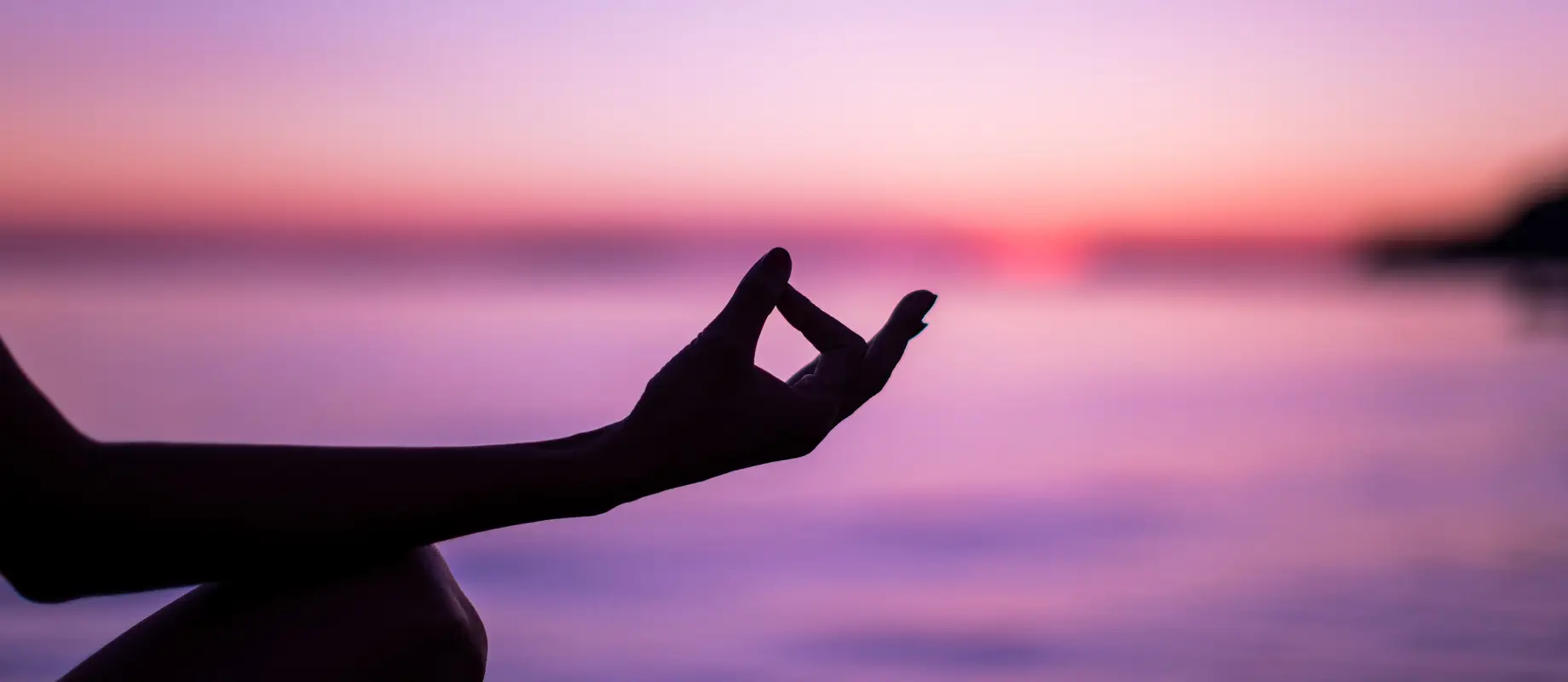 White Branches Yoga