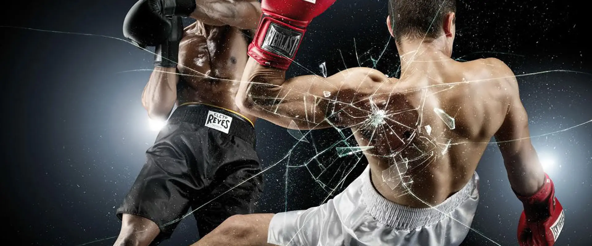 White Collar Boxing
