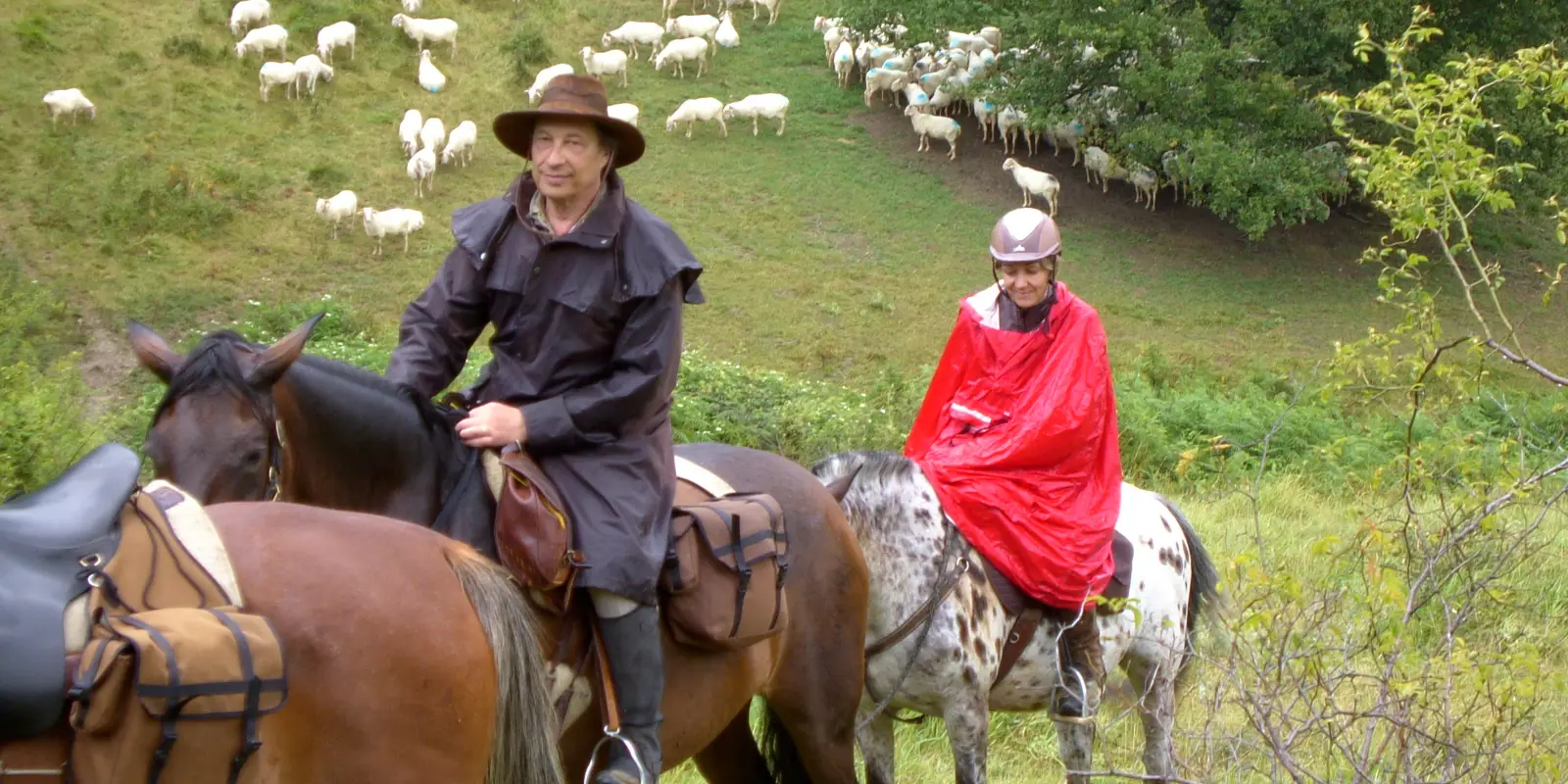 Cheval Senior