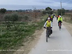 Cyclos Nyonsais