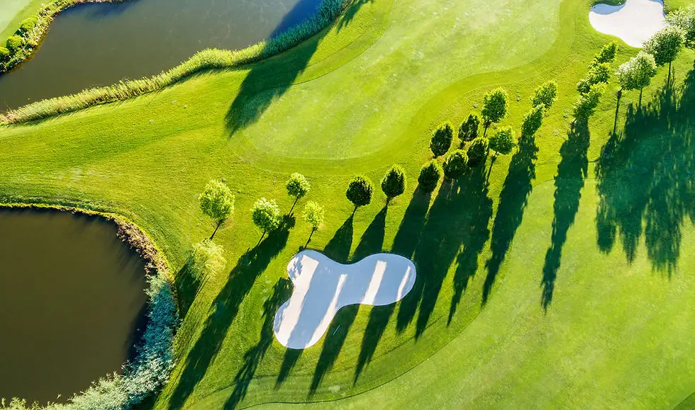 The Range
