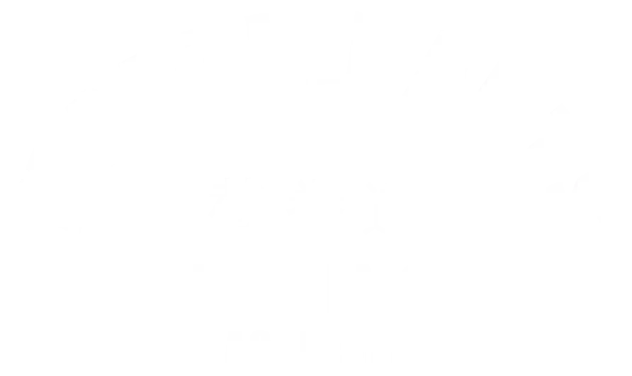 Martial Arts Boxing Academy