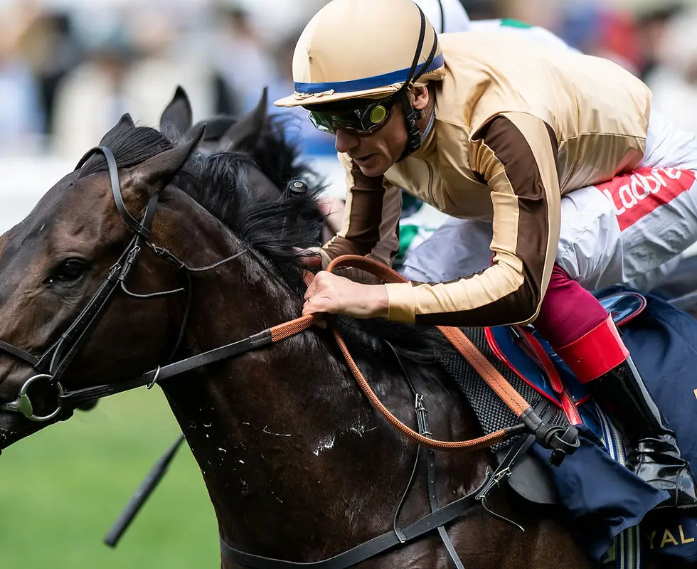 Star Bloodstock