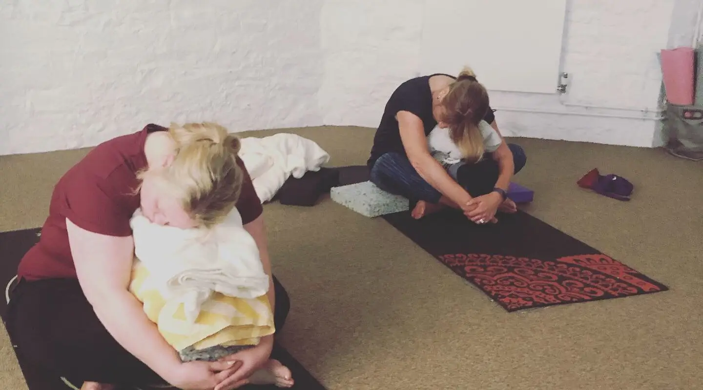 Yoga with Meeko