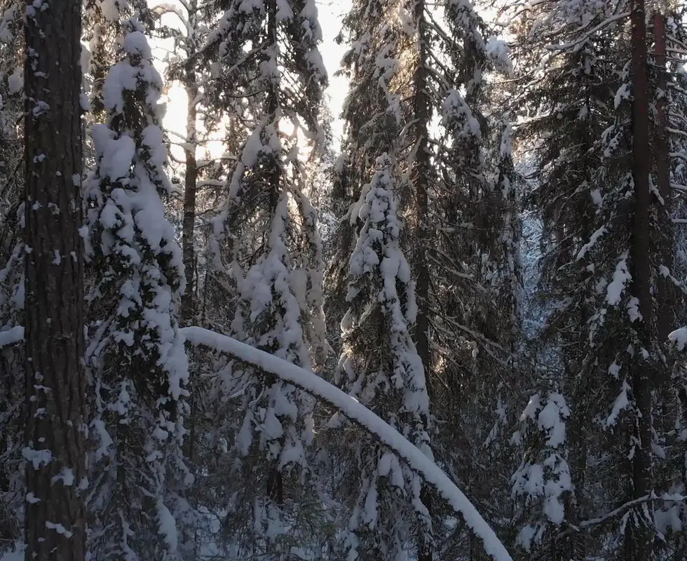 Marathon Cross Country Ski and Snowshoe Club