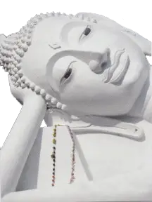 Catherine Bertrand Kinesiologist